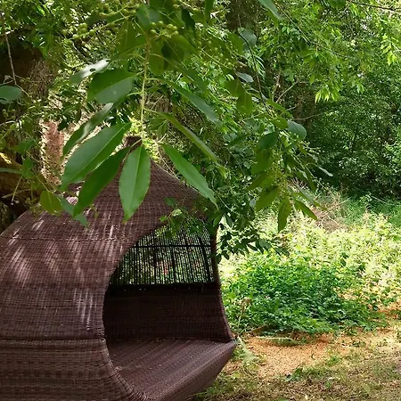 Lihmskov Bed & Breakfast Randbol