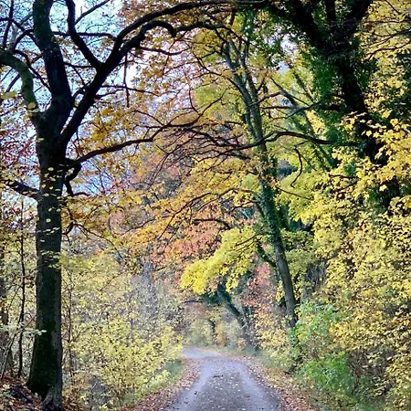 Lihmskov * Randbøl